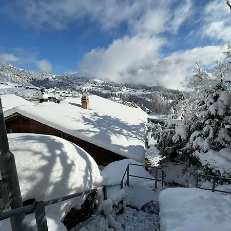 Heide ביטנברג