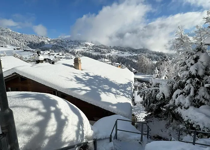 Heide ביטנברג